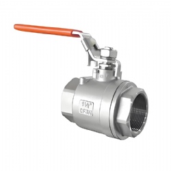 SS304 CF8M 2pc Thread Ball Valve 1000psi BSPT NPT