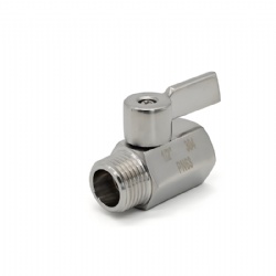 SS304 SS316 Small Mini Ball Valve BSPT NPT