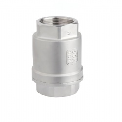 CF8 CF8M Spring Lift Check Valve BSPT NPT