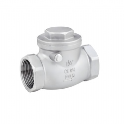 CF8 CF8M Thread Swing Check Valve BSPT NPT 1000WOG