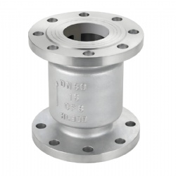 DI WCB Flanged Silent Check Valve PN10 PN16