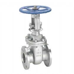 ANSI WCB CF8 CF8M Flanged Gate Valve 150LB 300LB