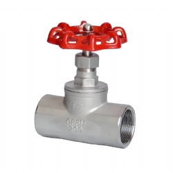 CF8 CF8M Threaded Globe Valve BSPT NPT PN16